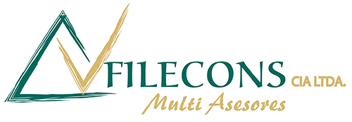 Filecons Multi Asesores